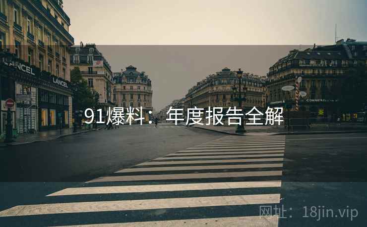 91爆料：年度报告全解