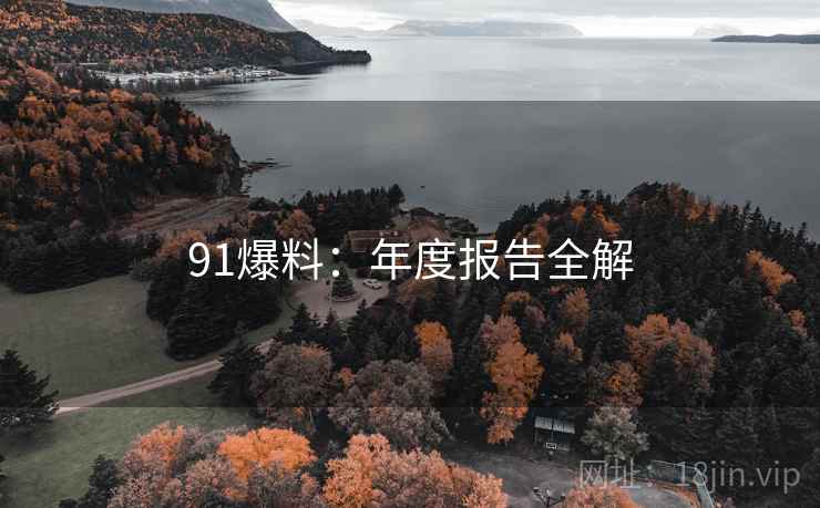 91爆料：年度报告全解