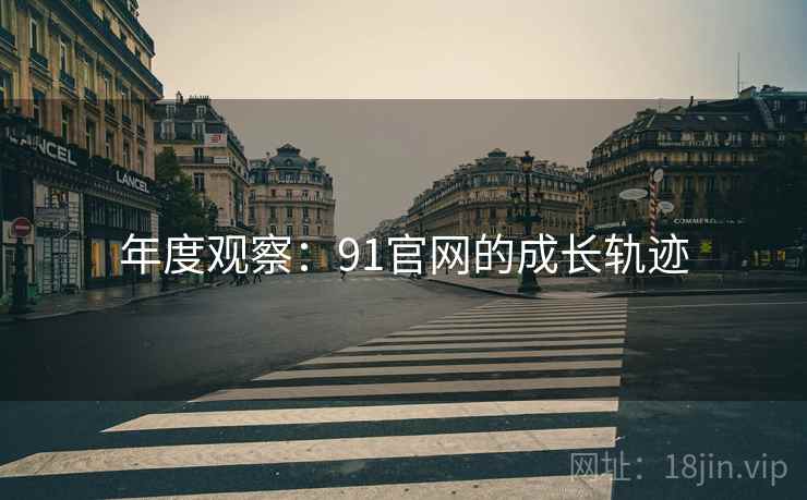 年度观察：91官网的成长轨迹