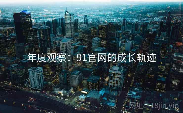 年度观察：91官网的成长轨迹