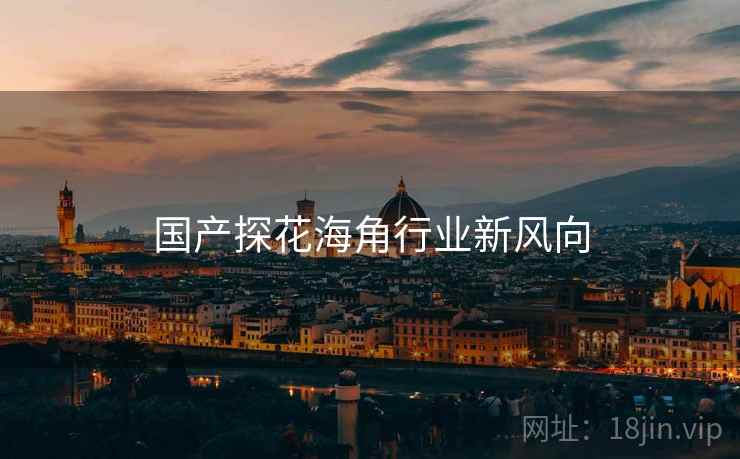 国产探花海角行业新风向