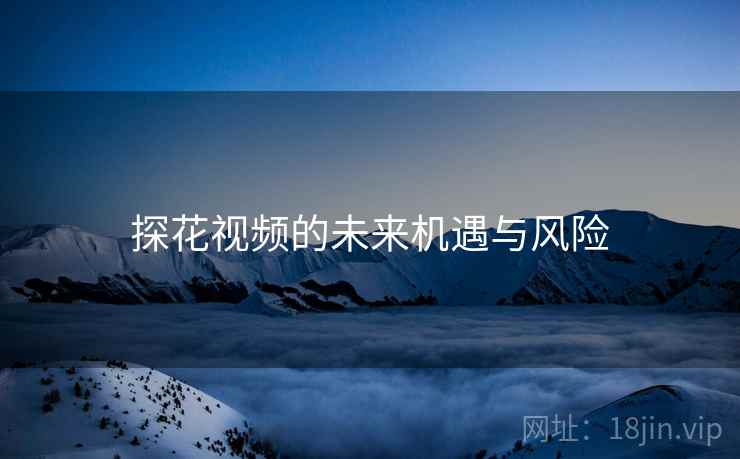 探花视频的未来机遇与风险