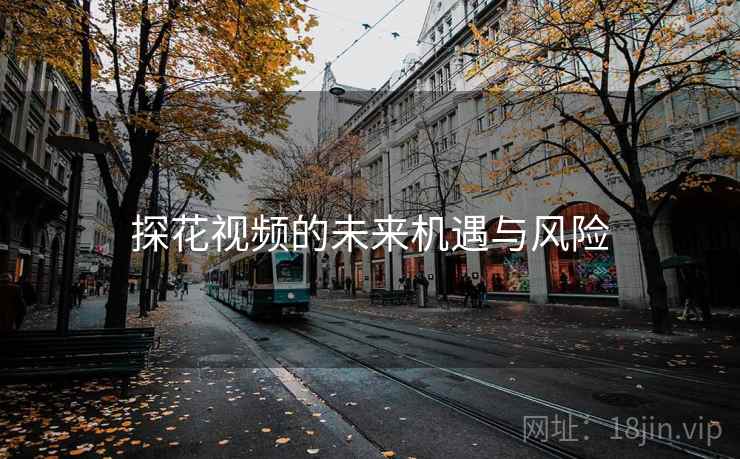探花视频的未来机遇与风险