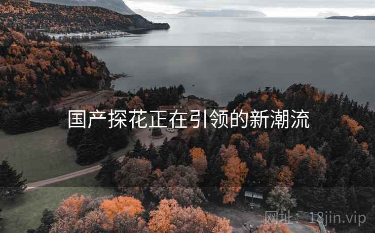 国产探花正在引领的新潮流