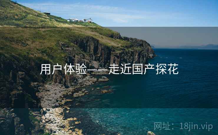 用户体验——走近国产探花