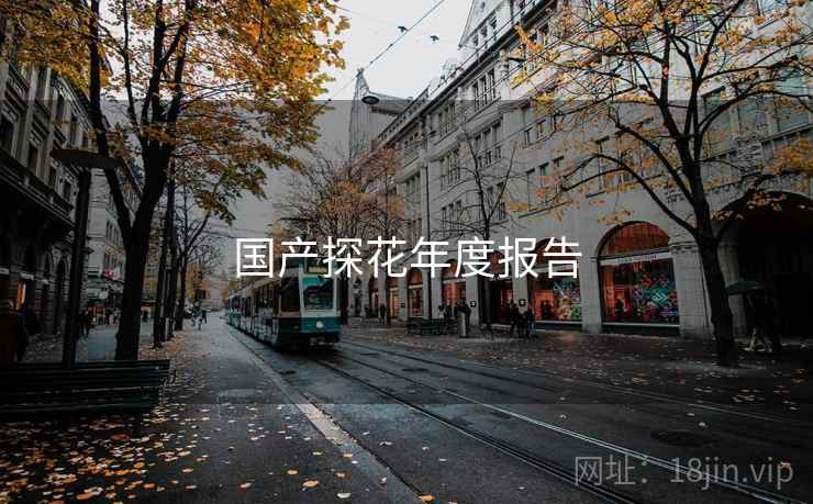 国产探花年度报告
