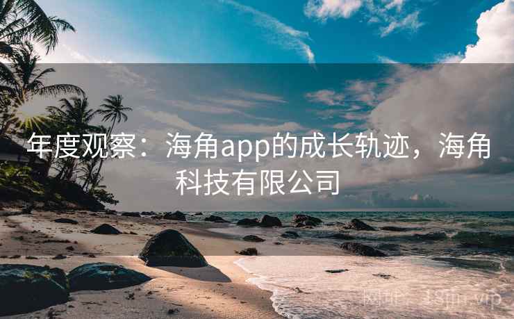 年度观察：海角app的成长轨迹，海角科技有限公司
