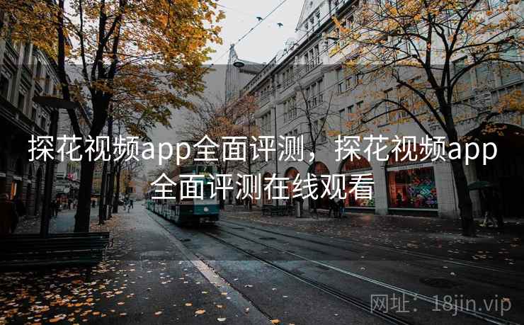 探花视频app全面评测，探花视频app全面评测在线观看
